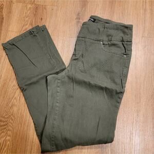 Womens Evergreen Chadwicks Straight Leg Pull On Pants Size 8